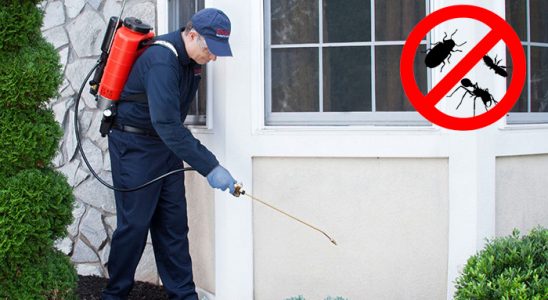 Ümraniye Böcek İlaçlama böcek ilaçlama ve haşere kontrolü — ilaclama-tr.com